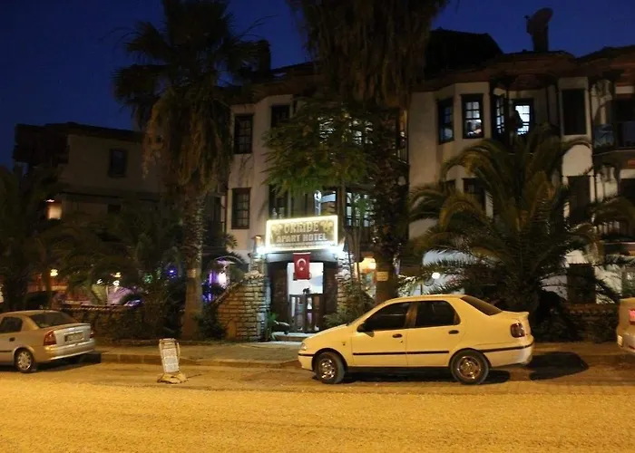 Orkide * Akyaka (Mugla)