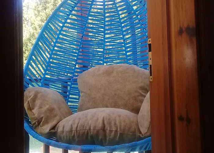 Orkide Akyaka (Mugla)