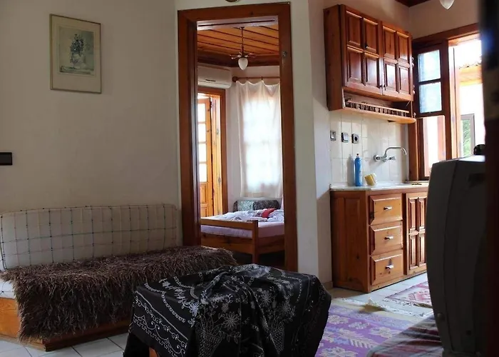 Orkide Akyaka (Mugla)